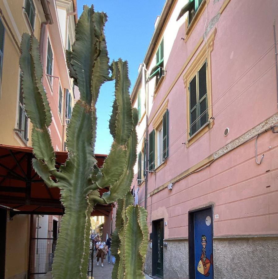 Il Portico Apartment Monterosso al Mare